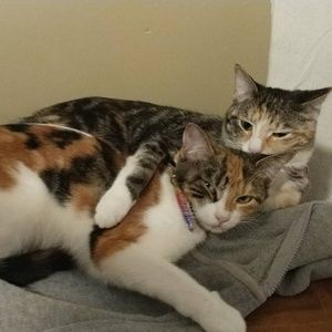 Meet your Posher, Jacqueline